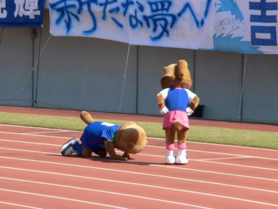 dogeza 土下座